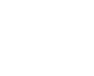The Geopolitical Business